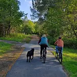Parque de vacaciones Nouveau Siblu 2025 Mobile 353 La Réserve 5star 8per 2sdb Gastes